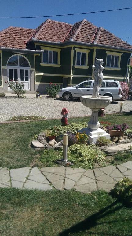 Casa Ana Appartement Haţeg Buitenkant foto