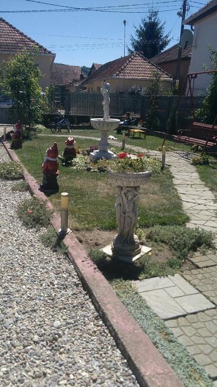 Casa Ana Appartement Haţeg Buitenkant foto