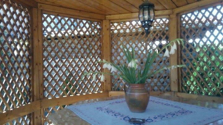 Casa Ana Appartement Haţeg Buitenkant foto