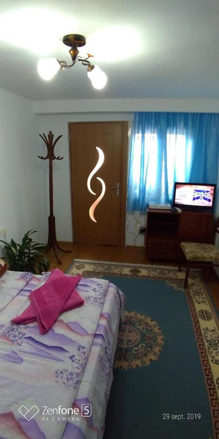 Casa Ana Appartement Haţeg Buitenkant foto