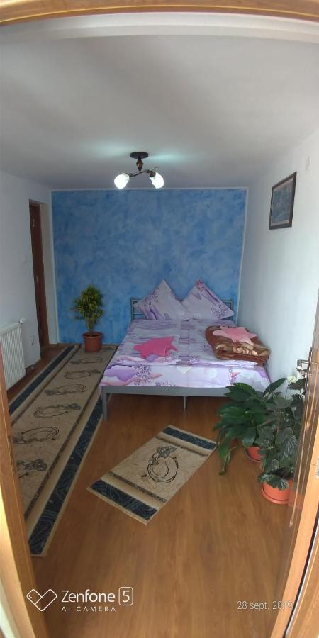 Casa Ana Appartement Haţeg Buitenkant foto