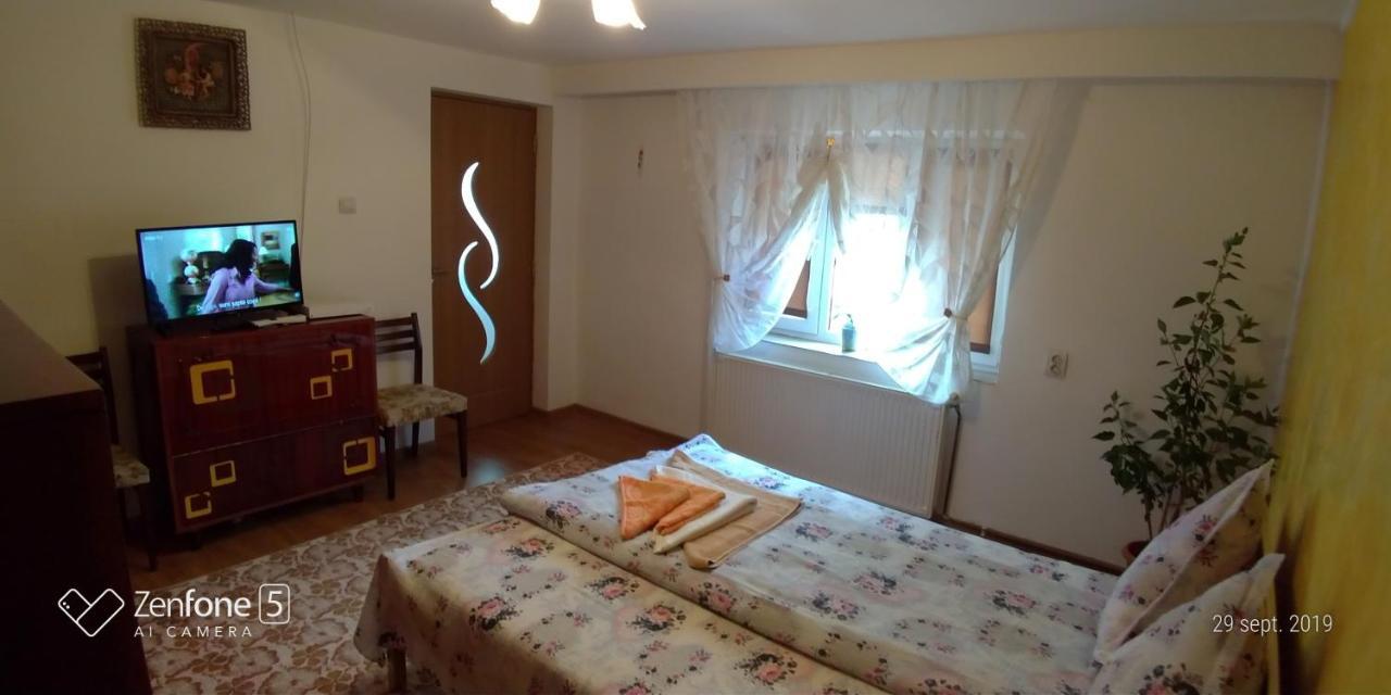 Casa Ana Appartement Haţeg Buitenkant foto