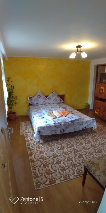 Casa Ana Appartement Haţeg Buitenkant foto